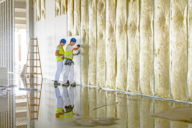 Best Insulation for New Construction  in Firestone, CO